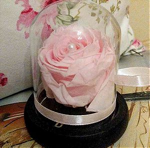 Pink Forever Rose - Ροζ Αιώνιο Τριαντάφυλλο