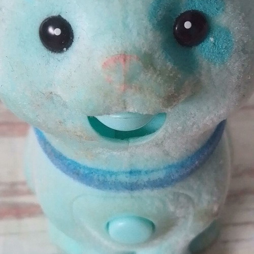 Little Live Pets Sweet Talking Kitten Whiskers interactive toy used