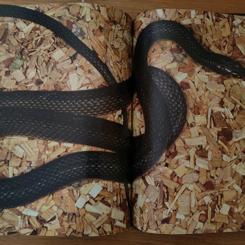 Nature Explore Υπέροχη Ελλάδα albums like new, complete set of 12 issues