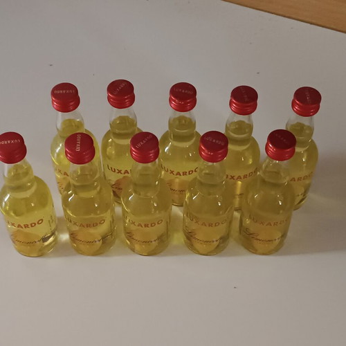 Luxardo liqueur miniatures pack of 10 new