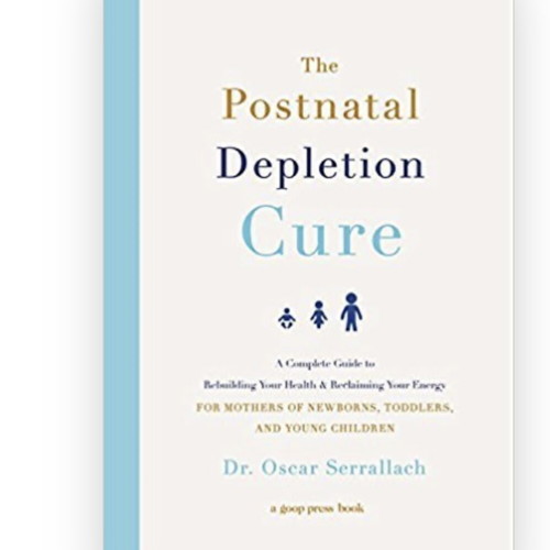 The Postnatal Depletion Cure book like new, English