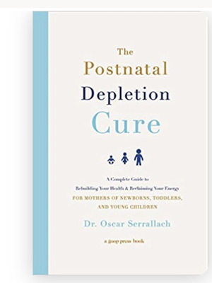 The Postnatal Depletion Cure book like new, English
