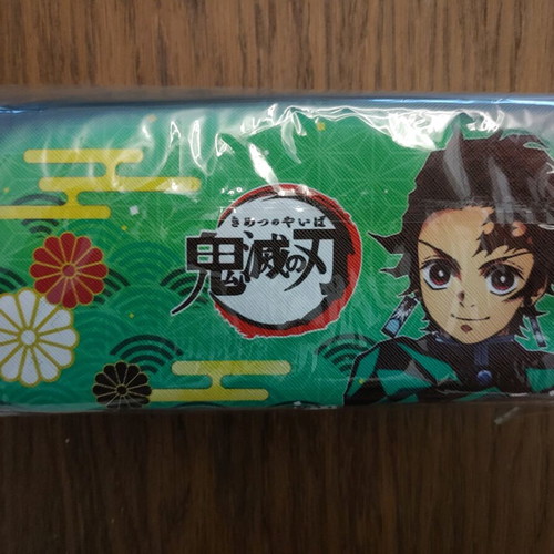 Demon Slayer Tanjiro pencil case new