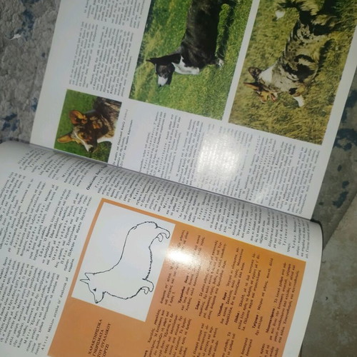 The Wonderful World of Animals used special edition 1995
