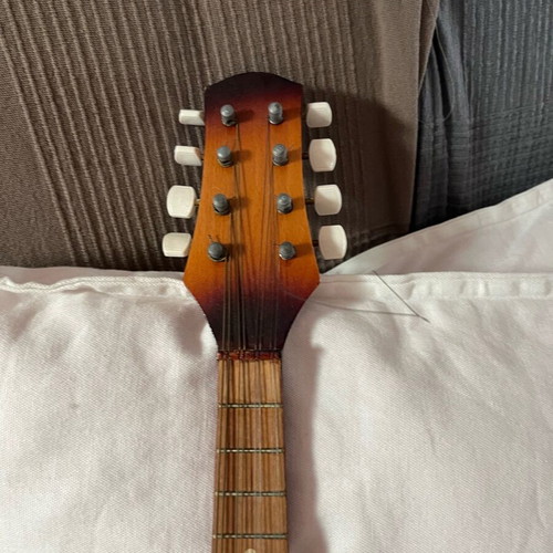 Vintage mandolin used, circa 1976