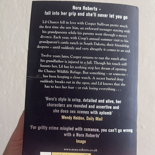 Black Hills by Nora Roberts book, used condition