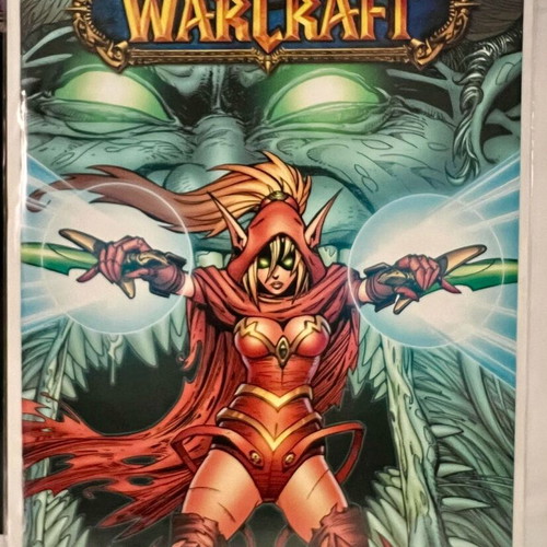 Wildstorm Comics World of Warcraft Issue 20 2007 Like New