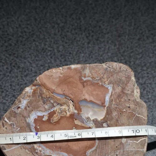 Thunderegg Agate half nodule polished, like new, 11.5 cm