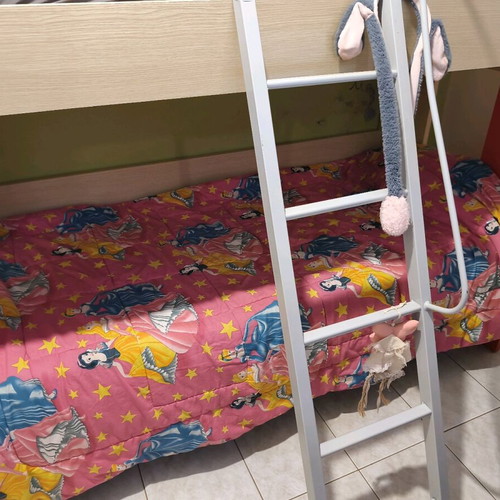 Bunk bed 2 colors used with mattresses and ladder