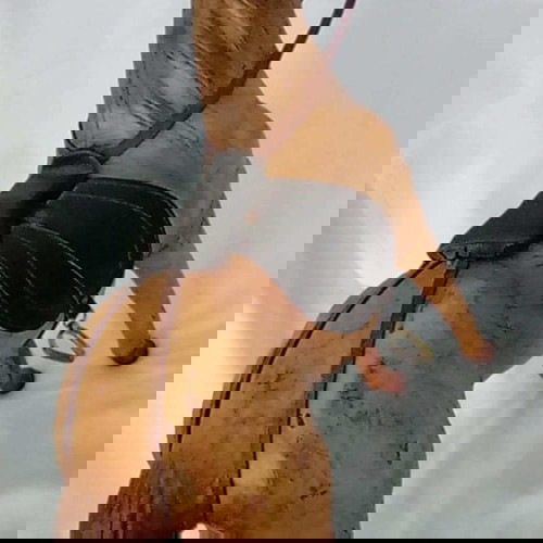 Vintage Handmade Leather Horse like new 54x44cm