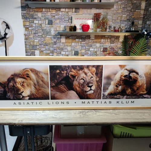 IKEA frame used 119×37 in excellent condition