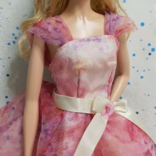 Barbie Birthday Wishes like new with flaws