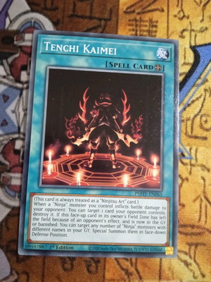 Tenchi Kaimei μεταχειρισμένη Field Spell κάρτα Yu-Gi-Oh! από Photon Hypernova