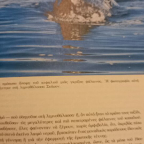 The Underwater Discoveries of Jacques-Yves Cousteau book set new