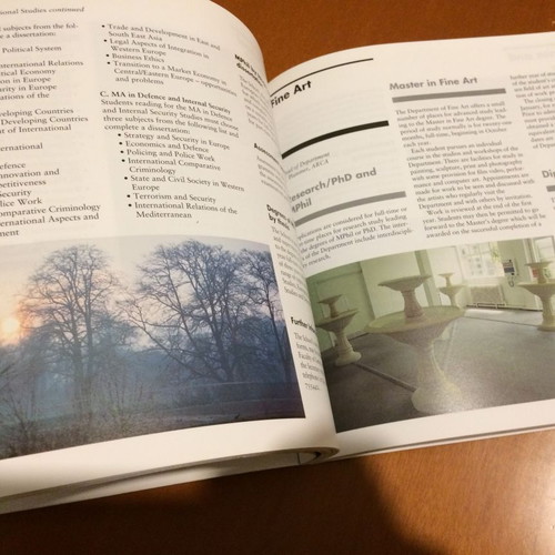 University of Reading Postgraduate Prospectus 1995 used