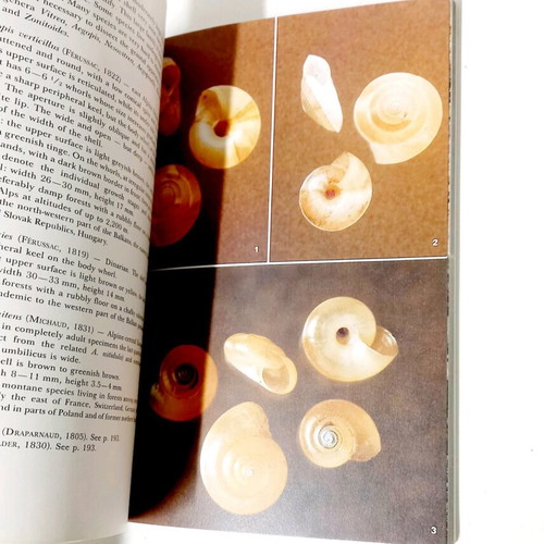 A Field Guide in Colour to Molluscs by Václav Pfleger like new
