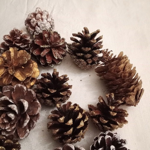 Decorative pine cones new, pack of 20 with glitter