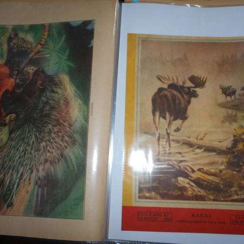 Forestry archive used with 40 lithograph clippings and articles from 1950s