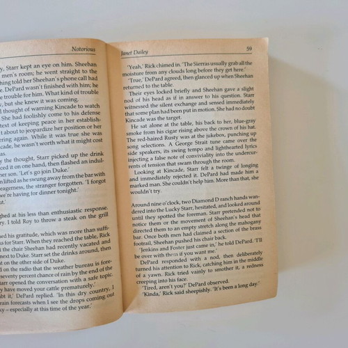 Notorious book used, foreign language, Janet Dailey
