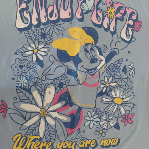 Xside Minnie Mouse Blue T-shirt XL like new with floral print