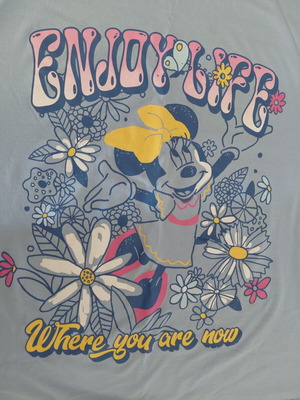 Xside Minnie Mouse Blue T-shirt XL like new with floral print