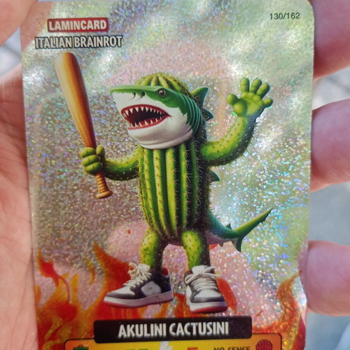 Lamnicard Italian Brainrot collectible card used