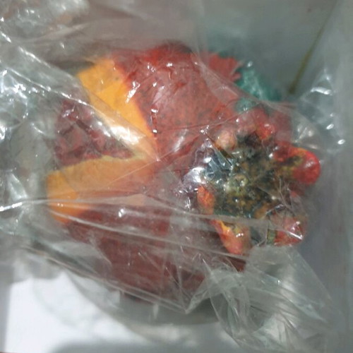 Decorative pomegranate new