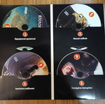 BBC Exolothreftes 6 VCD like new, dubbed
