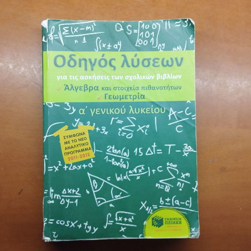 Algebra and Geometry Solution Guide for 1st Grade Lyceum