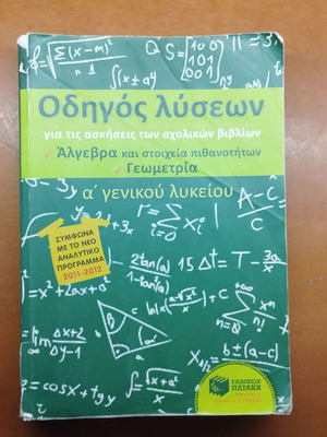 Algebra and Geometry Solution Guide for 1st Grade Lyceum
