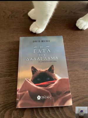 The Cat Who Went to the Dalai Lama by David Michie with Nine Lives Greece mug gift