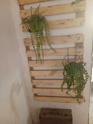 Дървена стенна декорация 80x60 см, нова