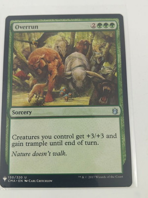 Frostbridge Guard Magic The Gathering -  0,10 - Vendora.cy