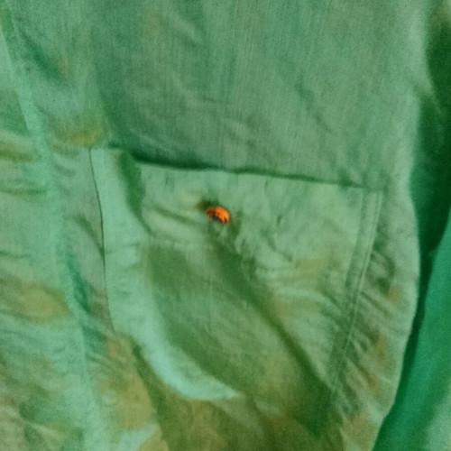 Silk transparent shirt new, mint green, size L