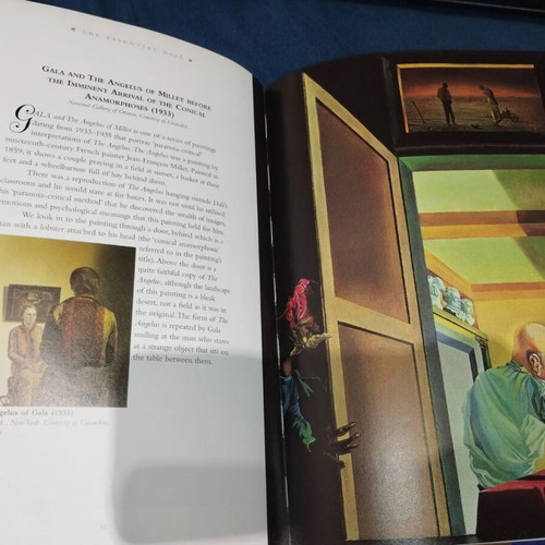 Essential Dali book by Kirsten Bradbury, English