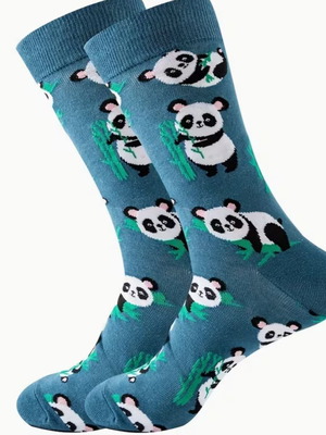 Panda socks new with panda design on blue background