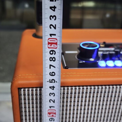 ANDOWL12MAX wireless karaoke speaker with 2 microphones