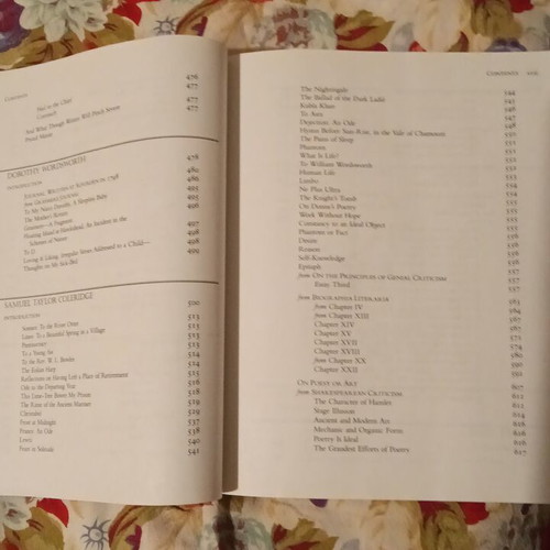 English Romantic Writers book like new