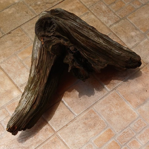 Aquarium wood decorative, used