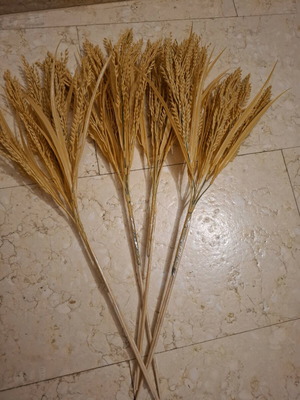 Decorative wheat stalks set of 4, plastic, new