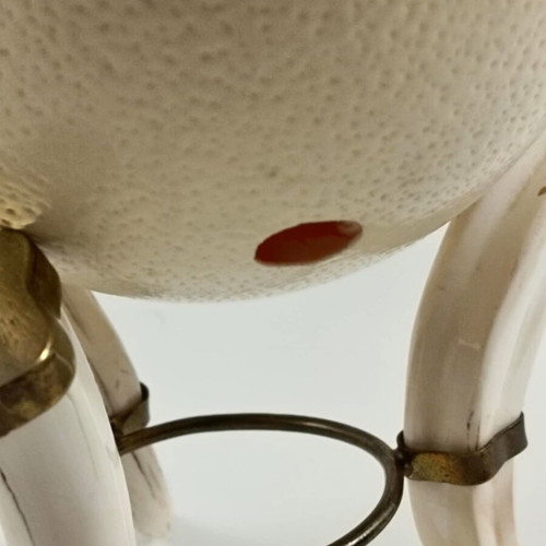 Tripod base used from fakocheros teeth with ostrich egg