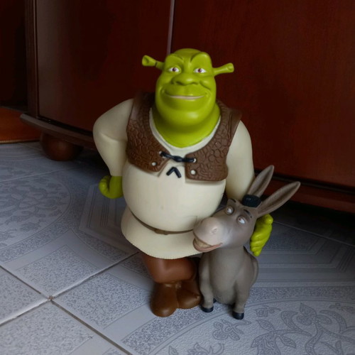 Shrek shampoo container used