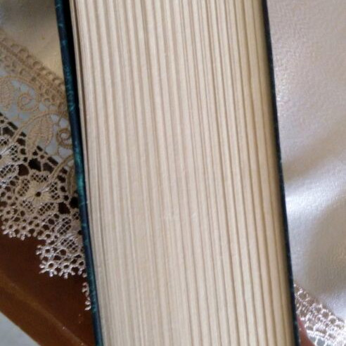 Book The Devil and the Dark Water like new