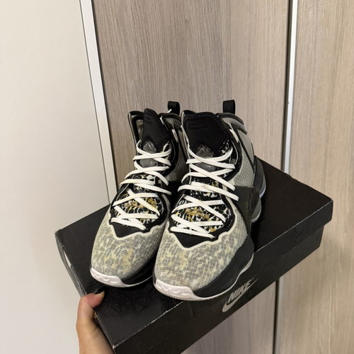 Lebron James leopard shoes used, size 39