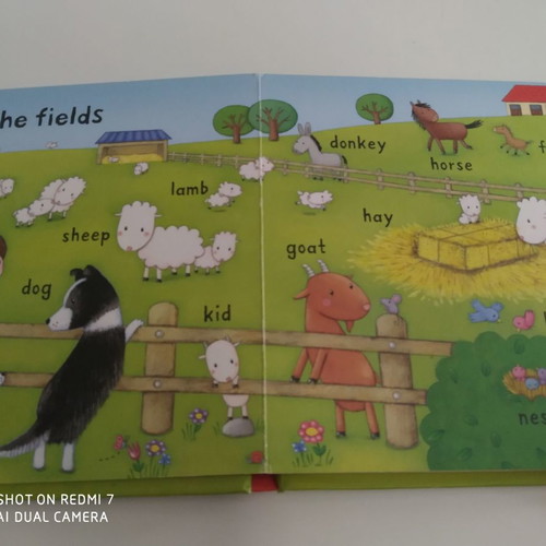 On the farm book used for children, English