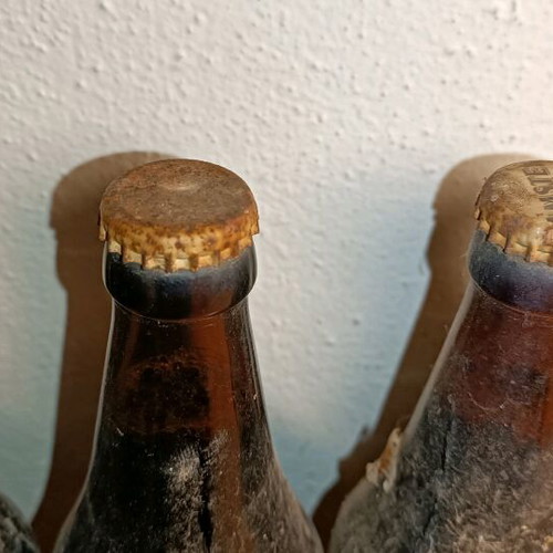 Vintage Amstel beers pack with sealed bottles