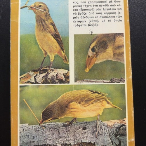 Darwin and the Theory of Evolution book by Nikolaos A. Vasileiadis