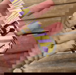  περιλαιμιο σκυλου xsmall