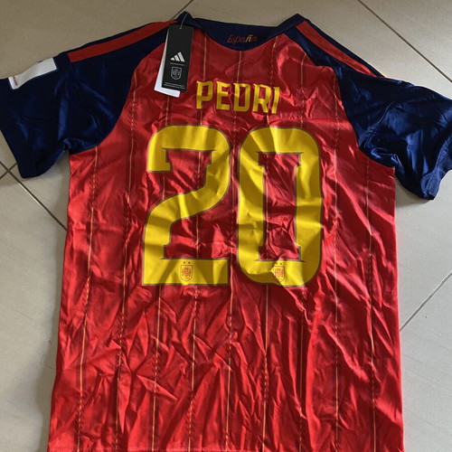Spain jersey Pedri 20, World Cup, size Medium