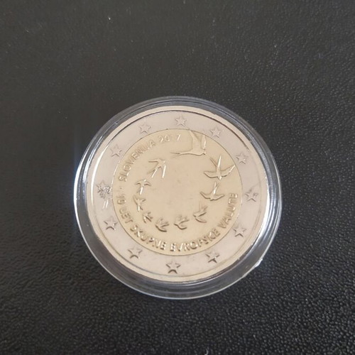 Commemorative 2 Euro Coin 2017 Slovenia used